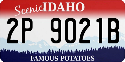 ID license plate 2P9021B