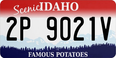 ID license plate 2P9021V