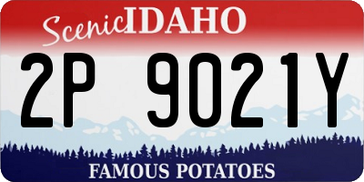 ID license plate 2P9021Y