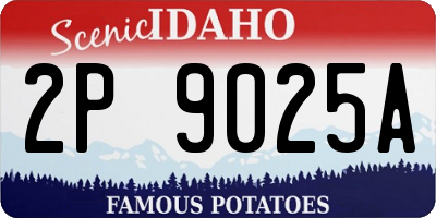 ID license plate 2P9025A