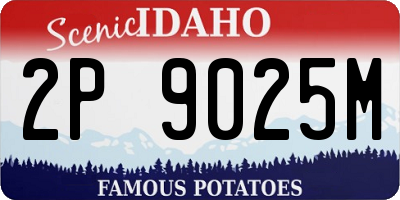 ID license plate 2P9025M