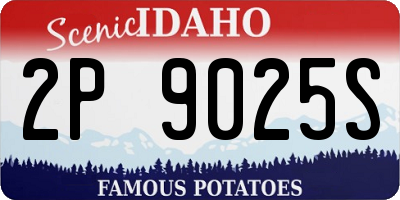 ID license plate 2P9025S