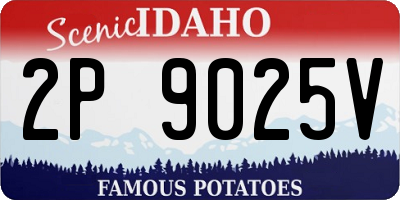 ID license plate 2P9025V