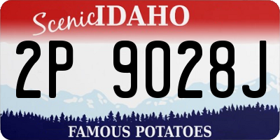 ID license plate 2P9028J