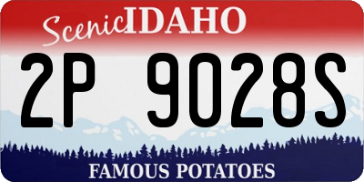 ID license plate 2P9028S