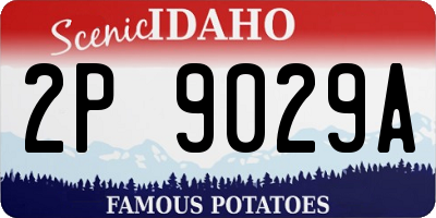 ID license plate 2P9029A