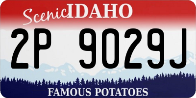 ID license plate 2P9029J