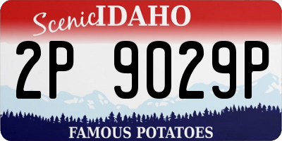 ID license plate 2P9029P