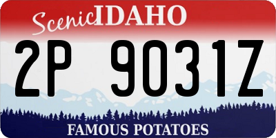 ID license plate 2P9031Z