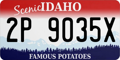 ID license plate 2P9035X