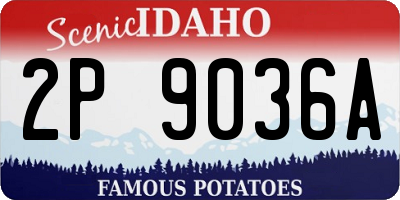 ID license plate 2P9036A