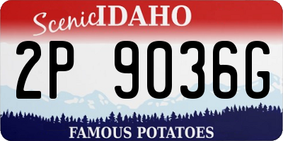 ID license plate 2P9036G