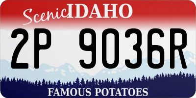 ID license plate 2P9036R