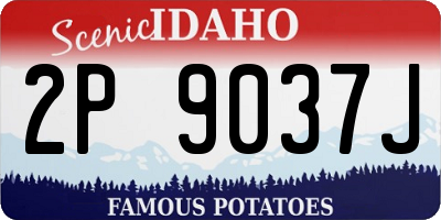 ID license plate 2P9037J