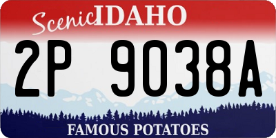 ID license plate 2P9038A