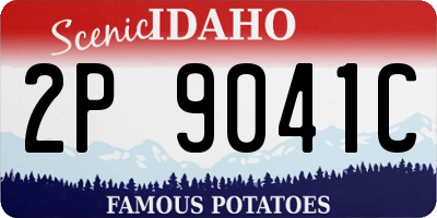 ID license plate 2P9041C
