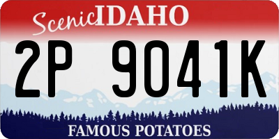 ID license plate 2P9041K