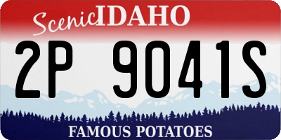 ID license plate 2P9041S