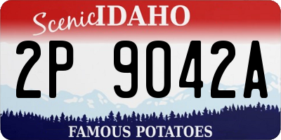 ID license plate 2P9042A