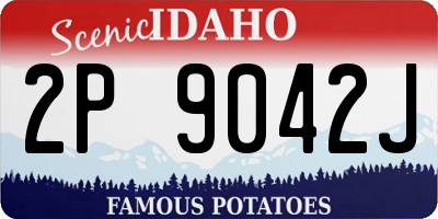 ID license plate 2P9042J