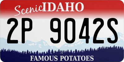 ID license plate 2P9042S