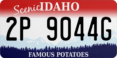 ID license plate 2P9044G