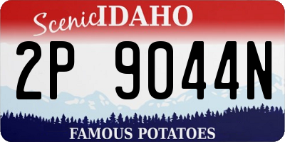 ID license plate 2P9044N