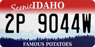 ID license plate 2P9044W