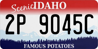 ID license plate 2P9045C