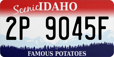 ID license plate 2P9045F