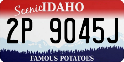 ID license plate 2P9045J