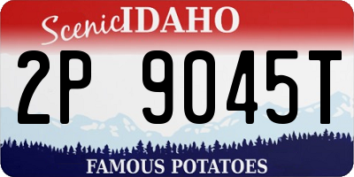 ID license plate 2P9045T