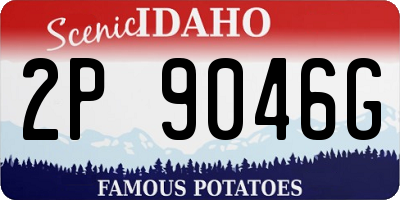 ID license plate 2P9046G