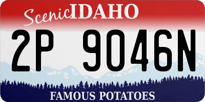 ID license plate 2P9046N