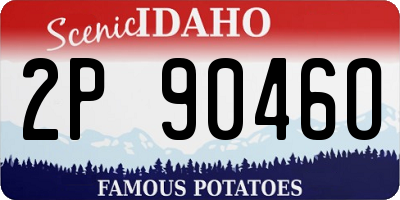 ID license plate 2P9046O