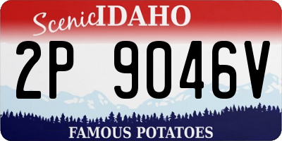ID license plate 2P9046V