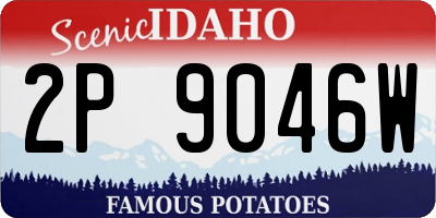 ID license plate 2P9046W