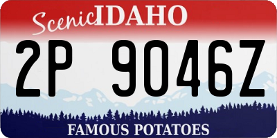 ID license plate 2P9046Z