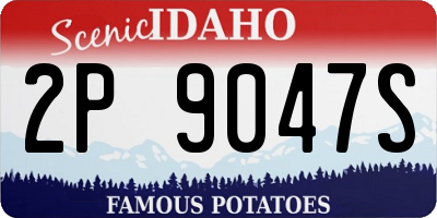 ID license plate 2P9047S