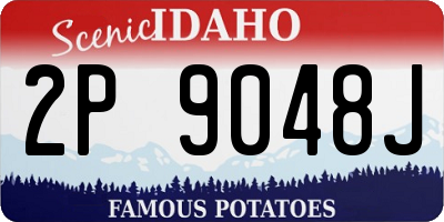 ID license plate 2P9048J