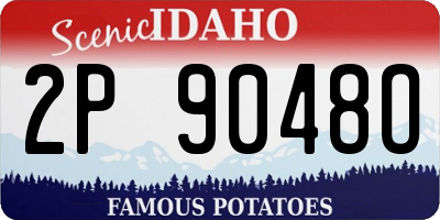 ID license plate 2P9048O