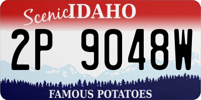 ID license plate 2P9048W