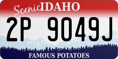ID license plate 2P9049J