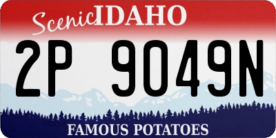 ID license plate 2P9049N