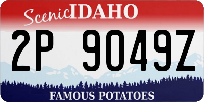 ID license plate 2P9049Z