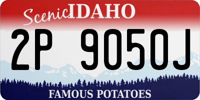 ID license plate 2P9050J