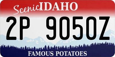 ID license plate 2P9050Z
