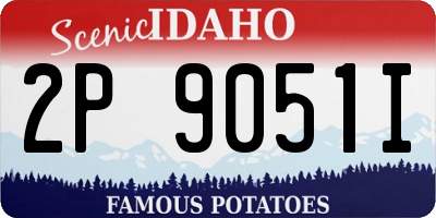 ID license plate 2P9051I