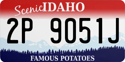 ID license plate 2P9051J