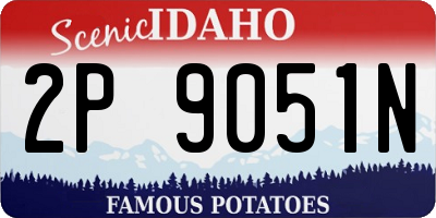 ID license plate 2P9051N
